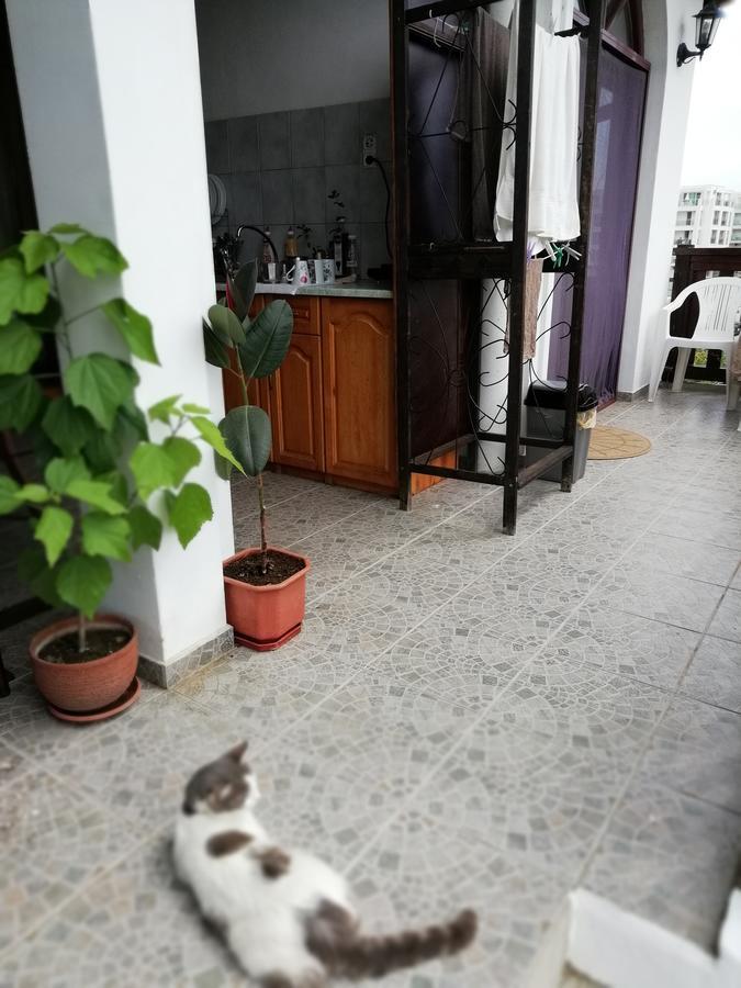 South Beach Villa シネモレツ エクステリア 写真