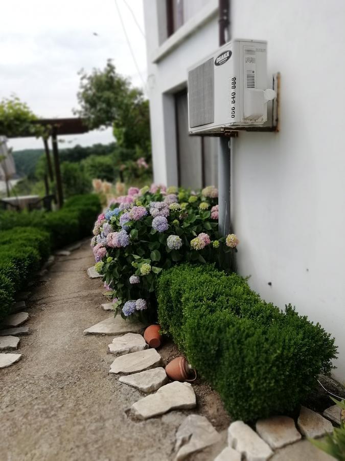South Beach Villa シネモレツ エクステリア 写真